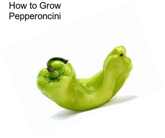 How to Grow Pepperoncini