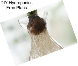 DIY Hydroponics Free Plans