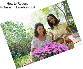 How to Reduce Potassium Levels in Soil