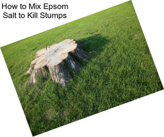 How to Mix Epsom Salt to Kill Stumps