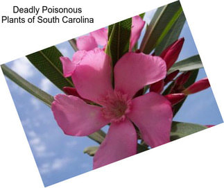 Deadly Poisonous Plants of South Carolina