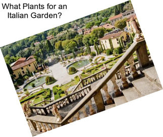 What Plants for an Italian Garden?