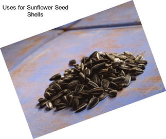 Uses for Sunflower Seed Shells