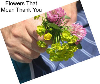 Flowers That Mean Thank You