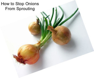 How to Stop Onions From Sprouting