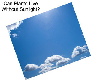 Can Plants Live Without Sunlight?