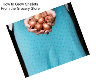 How to Grow Shallots From the Grocery Store