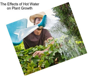 The Effects of Hot Water on Plant Growth