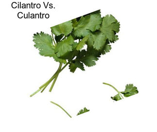 Cilantro Vs. Culantro