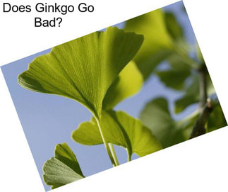 Does Ginkgo Go Bad?