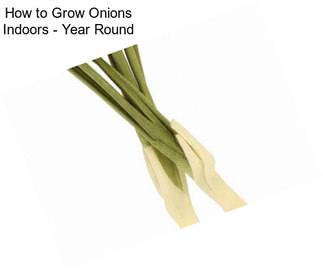 How to Grow Onions Indoors - Year Round