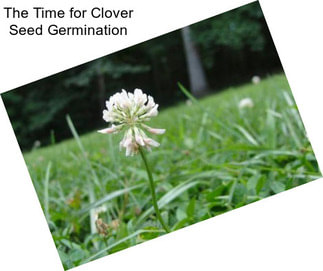 The Time for Clover Seed Germination