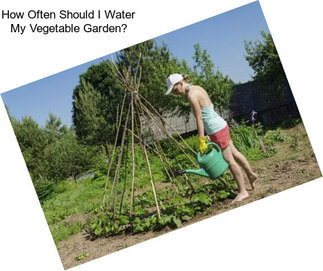 How Often Should I Water My Vegetable Garden?