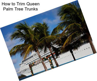 How to Trim Queen Palm Tree Trunks