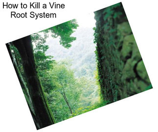 How to Kill a Vine Root System