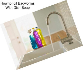 How to Kill Bagworms With Dish Soap
