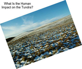 What Is the Human Impact on the Tundra?