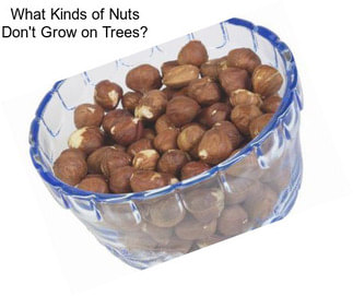 What Kinds of Nuts Don\'t Grow on Trees?