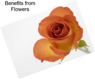 Benefits from Flowers