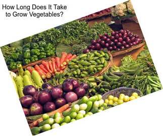 How Long Does It Take to Grow Vegetables?