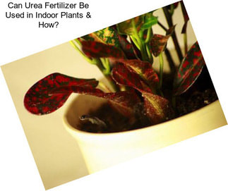 Can Urea Fertilizer Be Used in Indoor Plants & How?