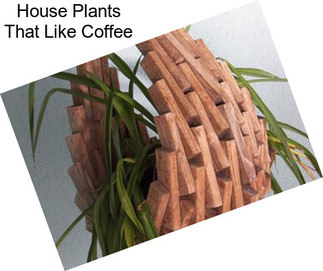 House Plants That Like Coffee