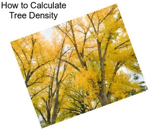 How to Calculate Tree Density
