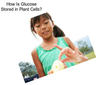 How Is Glucose Stored in Plant Cells?