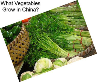 What Vegetables Grow in China?