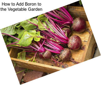 How to Add Boron to the Vegetable Garden