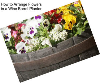 How to Arrange Flowers in a Wine Barrel Planter