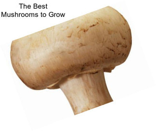 The Best Mushrooms to Grow