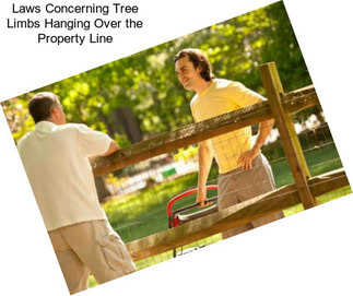 Laws Concerning Tree Limbs Hanging Over the Property Line