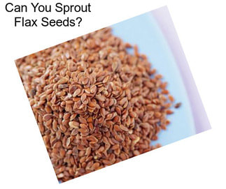 Can You Sprout Flax Seeds?