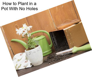 How to Plant in a Pot With No Holes