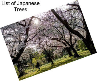 List of Japanese Trees