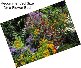 Recommended Size for a Flower Bed