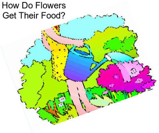 How Do Flowers Get Their Food?