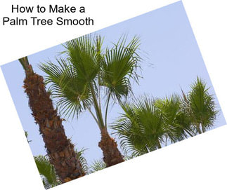 How to Make a Palm Tree Smooth