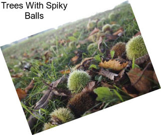 Trees With Spiky Balls