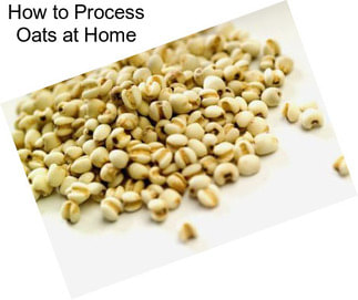 How to Process Oats at Home
