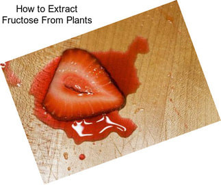 How to Extract Fructose From Plants