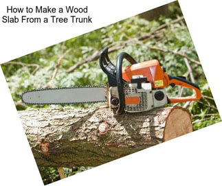 How to Make a Wood Slab From a Tree Trunk