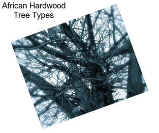 African Hardwood Tree Types