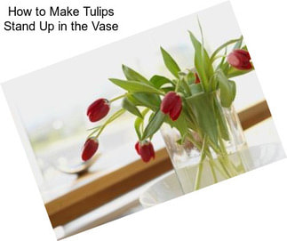 How to Make Tulips Stand Up in the Vase