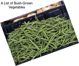 A List of Bush-Grown Vegetables