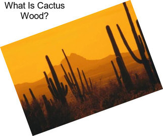 What Is Cactus Wood?