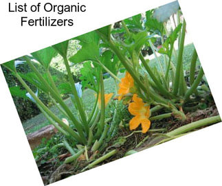 List of Organic Fertilizers