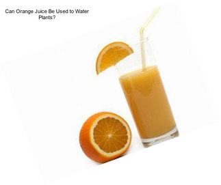 Can Orange Juice Be Used to Water Plants?