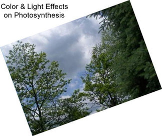 Color & Light Effects on Photosynthesis